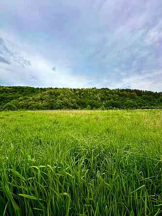 Продаж земельної ділянки 5 соток на Лісова Vovchynets