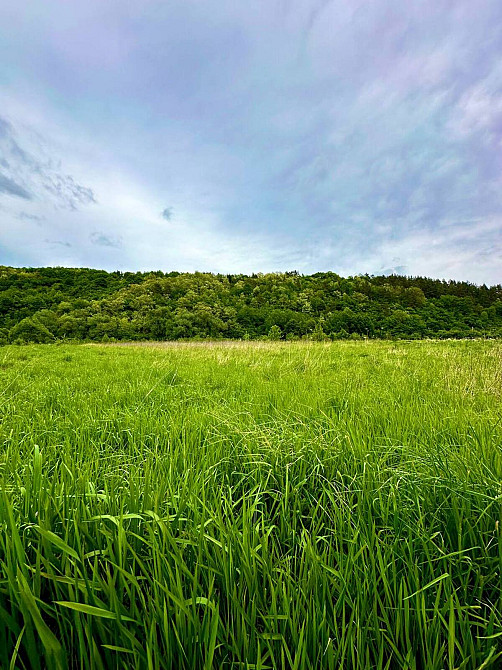 Продаж земельної ділянки 5 соток на Лісова Vovchynets - photo 3