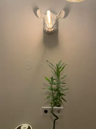 For rent 2-room Apartment 58 sq.m Французский бульвар, 2 Odessa