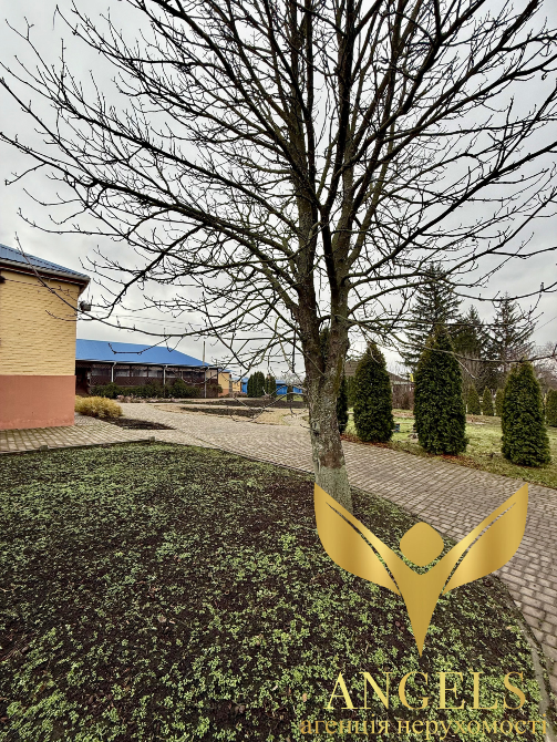 Здається Ресторан / кафе / бар / кав’ярня площа 667 кв.м 1-й поверх Кропивницький 95P8+39, Кропивницький район, Кіровоградська область, 27654 Кропивницький - фото 5