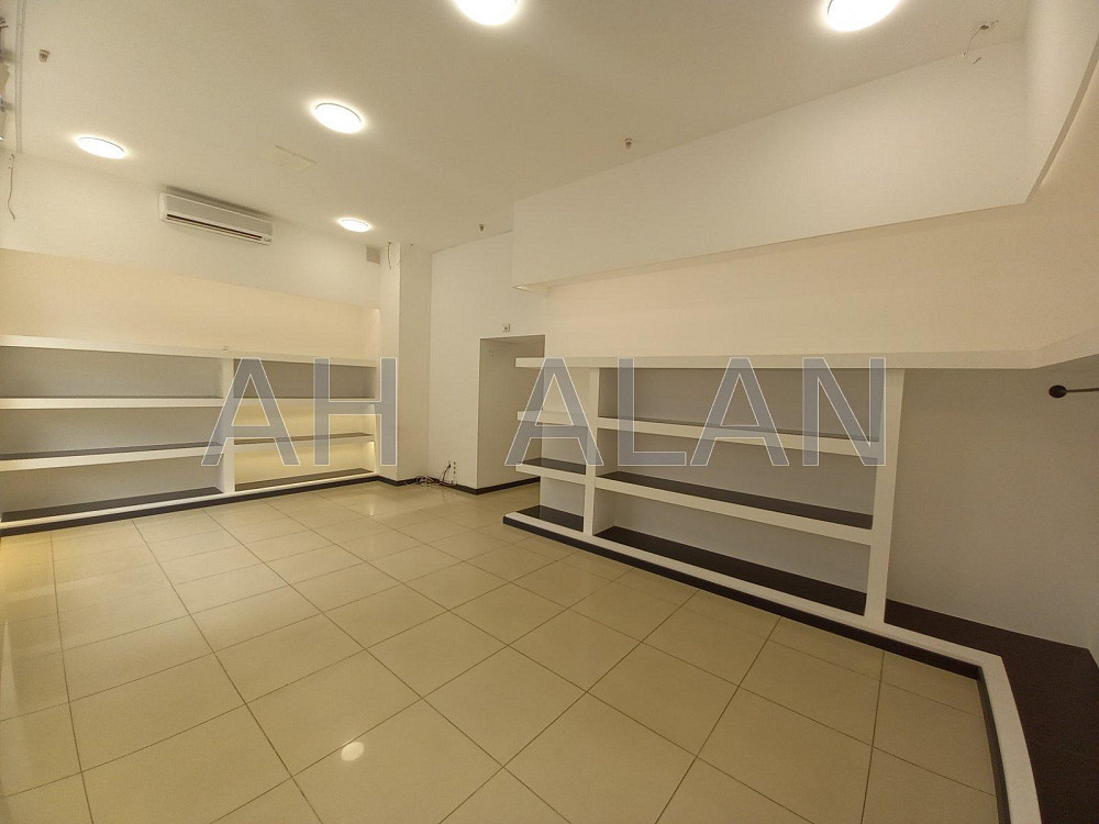 Оренда Будинок 4-кімнатний на Руставелі Шота вул., 21 Київ - фото 9