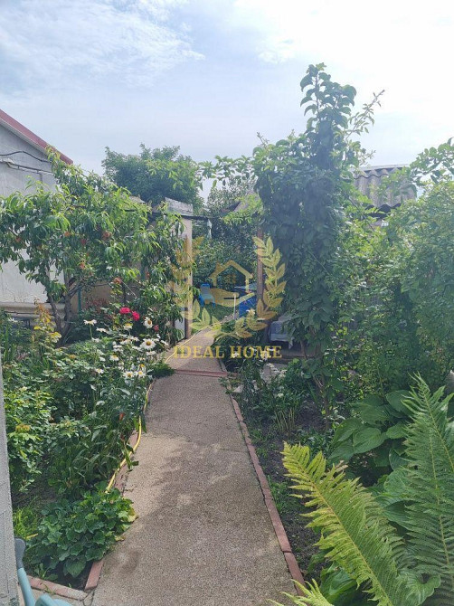 Продаж Будинок 3-кімнатний Боярка - изображение 4