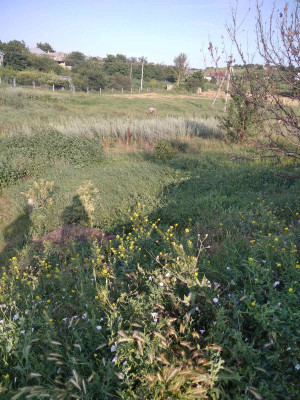 Продаж земельної ділянки 0 соток на ул. Ивана Франко, 42а Усатове - изображение 9