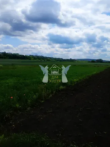 Продажа земельного участка  площадь 23 сот Долинна вулиця  - изображение 7