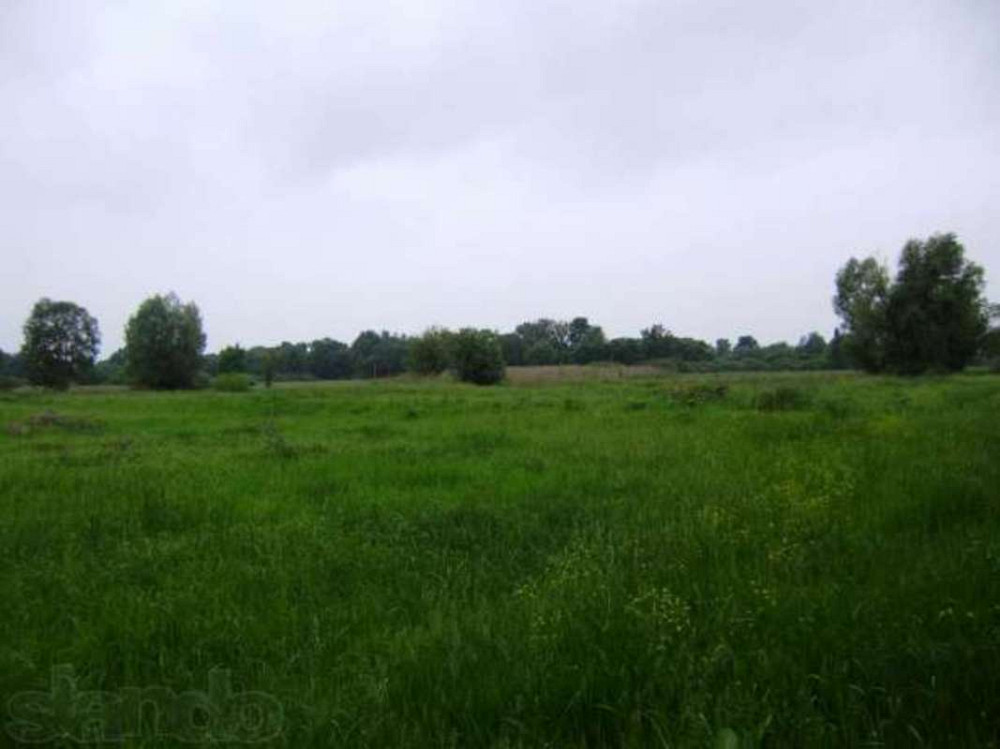 Продаж земельної ділянки 1.75 га  - фото 1