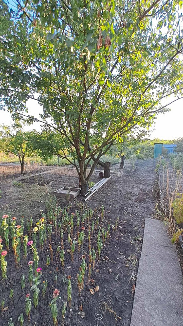 Продам дачу Геолог. Кропивницький - фото 10