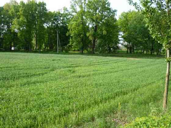 Продаж земельної ділянки 2.95 га Городище (Іванківський район)