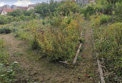 Продаж земельної ділянки 0.1 соток на ул. Виноградная, 15 Limanka