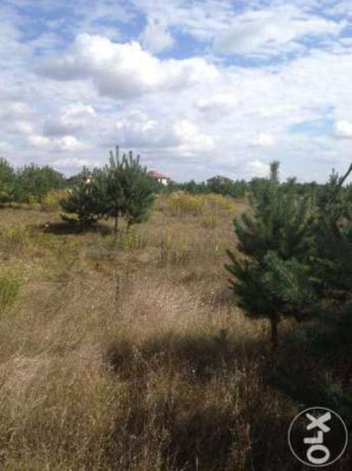 Продаж земельної ділянки 25 соток Проців - фото 1