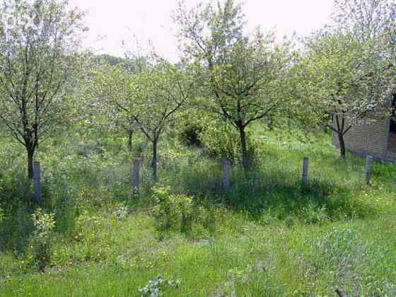 Продаж земельної ділянки 24 соток Іванків