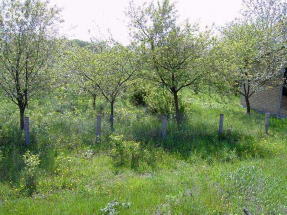 Продаж земельної ділянки 24 соток Іванків - фото 2