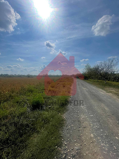 Продаж земельної ділянки 60 соток  - изображение 4