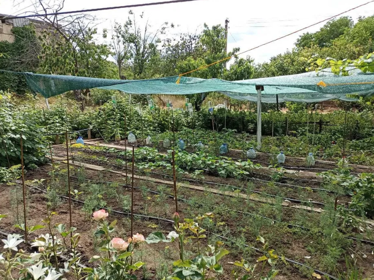 Продам дом-дачу на берегу лимана в Новодофиновском массиве (Лиманский р-н) Нова Дофінівка - фото 15