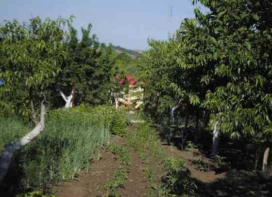 Продаж Будинок 2-кімнатний на ул. Клубничная, СТ Дорожник, 78 Калинівка (Іванівський район)