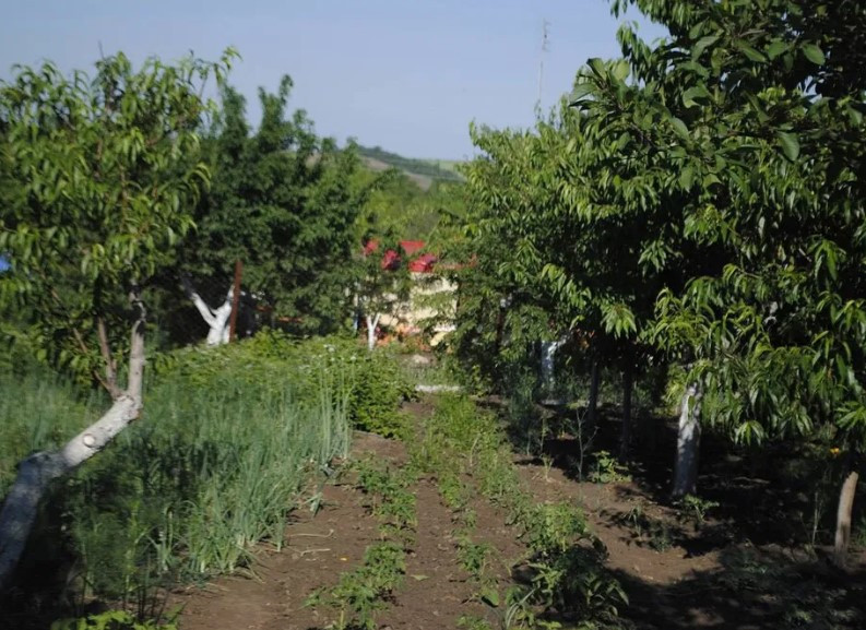 Продаж Будинок 2-кімнатний на ул. Клубничная, СТ Дорожник, 78 Калинівка (Іванівський район) - фото 3