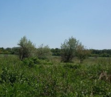 Продаж Будинок 4-кімнатний на ул. Одесская, 11а Sanzhiika - photo 9