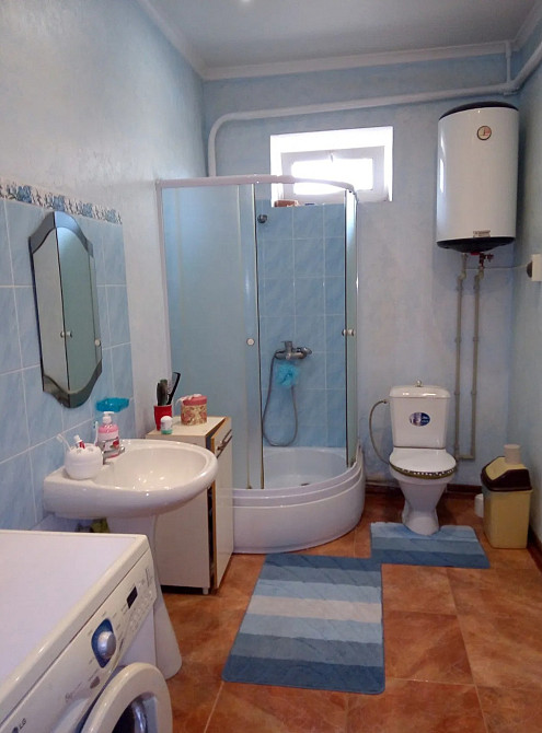 Продам дом в с. Троицкое Новотроїцьке (Любашівський район) - фото 4