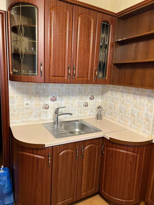 Оренда Квартира 1-кімнатна, 16/22 поверх на Олени Пчілки, 4 Kiev - photo 12