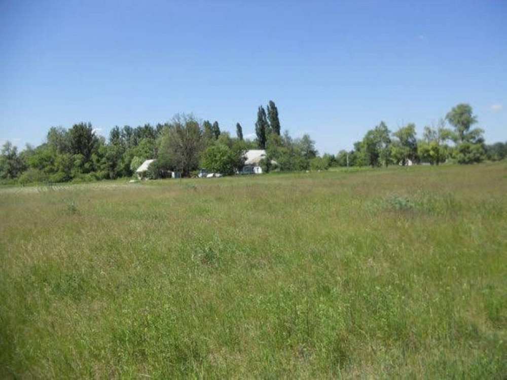 Продаж земельної ділянки 15 соток на Молодежная  - фото 7