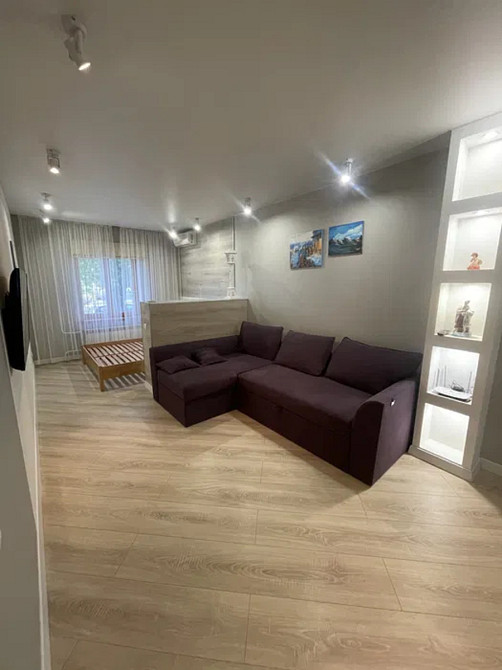 Оренда Квартира 1-кімнатна, 1/9 поверх на просп. Бажана, 5е Київ - фото 1