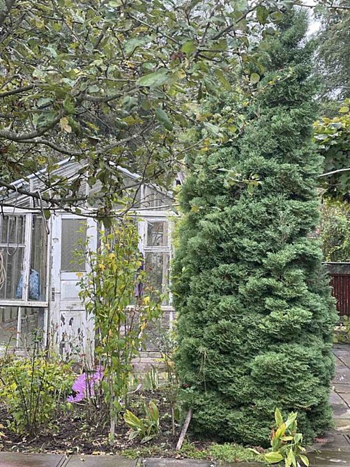 Продаж Будинок на с.Рибаче Vinnytsya - photo 20