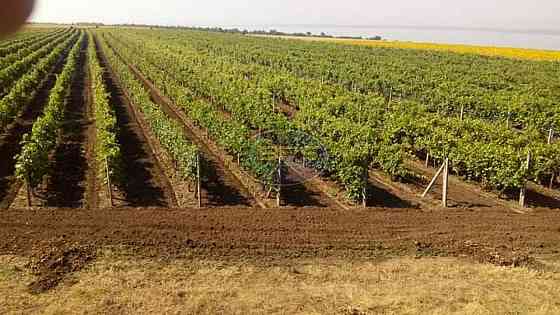 Продаж земельної ділянки 7.72 га на вул. 1 Овідіополь