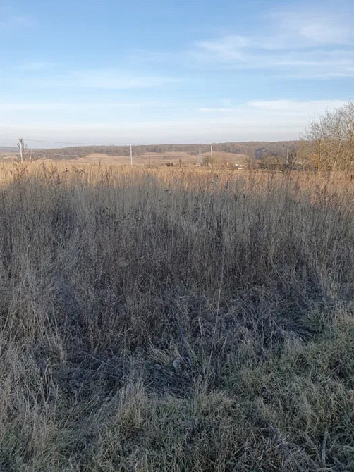 Продаж земельної ділянки 20 соток на Молодіжна Колодіївка - фото 5