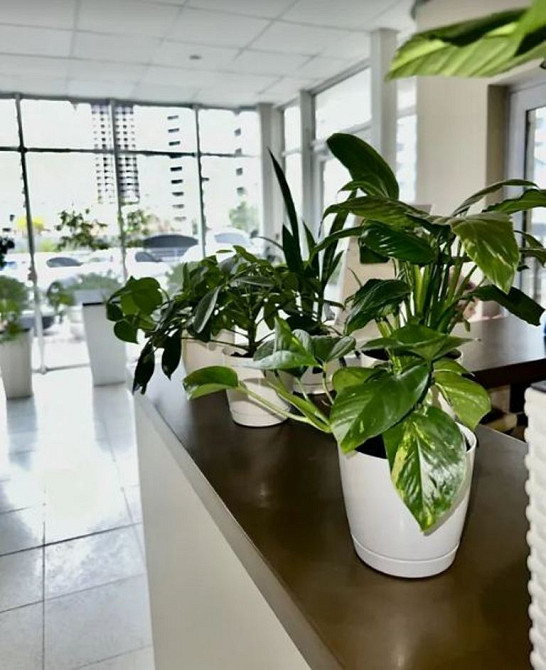 Альтаир Одеса - фото 12