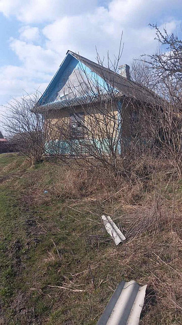 Продаж земельної ділянки 25 соток на вул. Івана Франка Голишів - фото 5