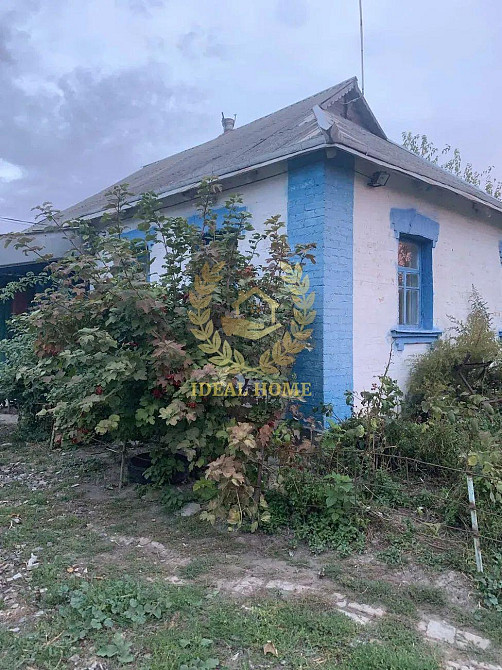 Продаж будинку Обухівський район, с.Семенівка Семенівка (Баришівський район) - фото 1