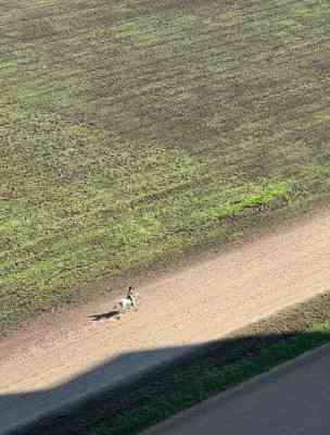 Продаж земельної ділянки 0.1 соток на ул. Южная, 18 Холодна Балка