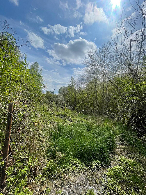 Продаж земельної ділянки 5.5 соток  - photo 1