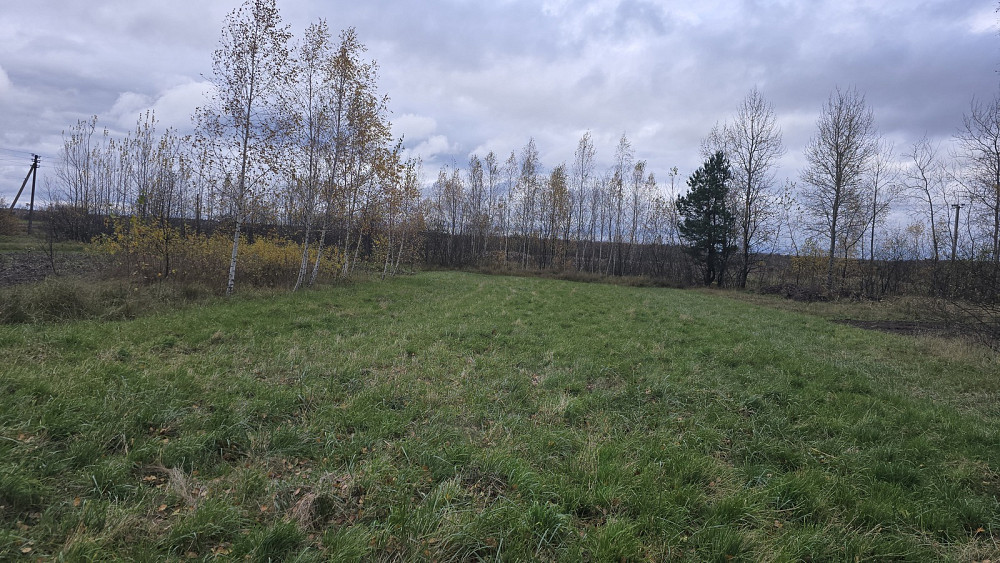 Продаж земельної ділянки 16.78 соток на Євгенгії Мачерет Ивановка (Баранивський район) - изображение 6