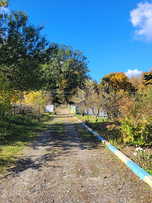 продається будинок Камянському лісництві с. Камянка Каменка (Іванківський район) - фото 10