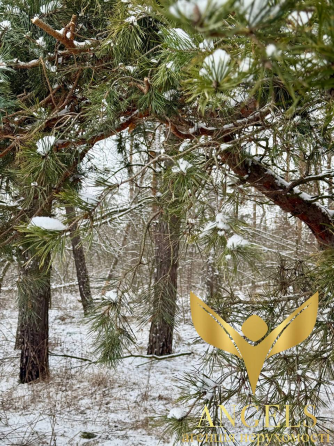 For sale land plot For the construction of a private residential building area 9.1 ares H73C+J5, Кіровоградська міськрада, Кіровоградська область, 250 Kirovohrad