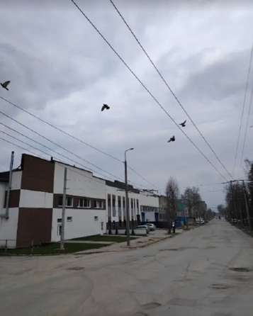 Здається приміщення вільного призначення на вул. Лукяновича Дениса, площа 107 кв.м Тернопіль