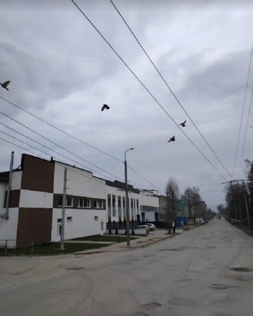 Здається приміщення вільного призначення на вул. Лукяновича Дениса, площа 107 кв.м Тернопіль - фото 4