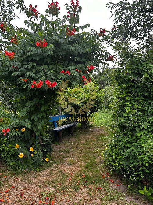 Продам будинок у Великій Снітинці  - фото 19