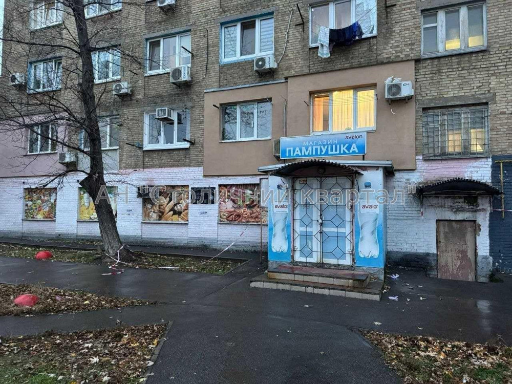 Оренда Будинок 3-кімнатний на Бориспільська вул., 3 Київ - фото 1