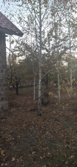 Продам дом в Фонтанке, рядом "Ривьера" Fontanka - photo 2