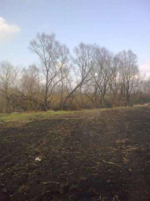 Продаж земельної ділянки 20 соток  - фото 1