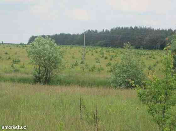 Продаж земельної ділянки 12 соток Вороньківка