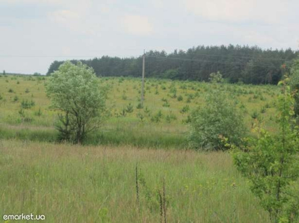 Продаж земельної ділянки 12 соток Вороньківка - фото 2