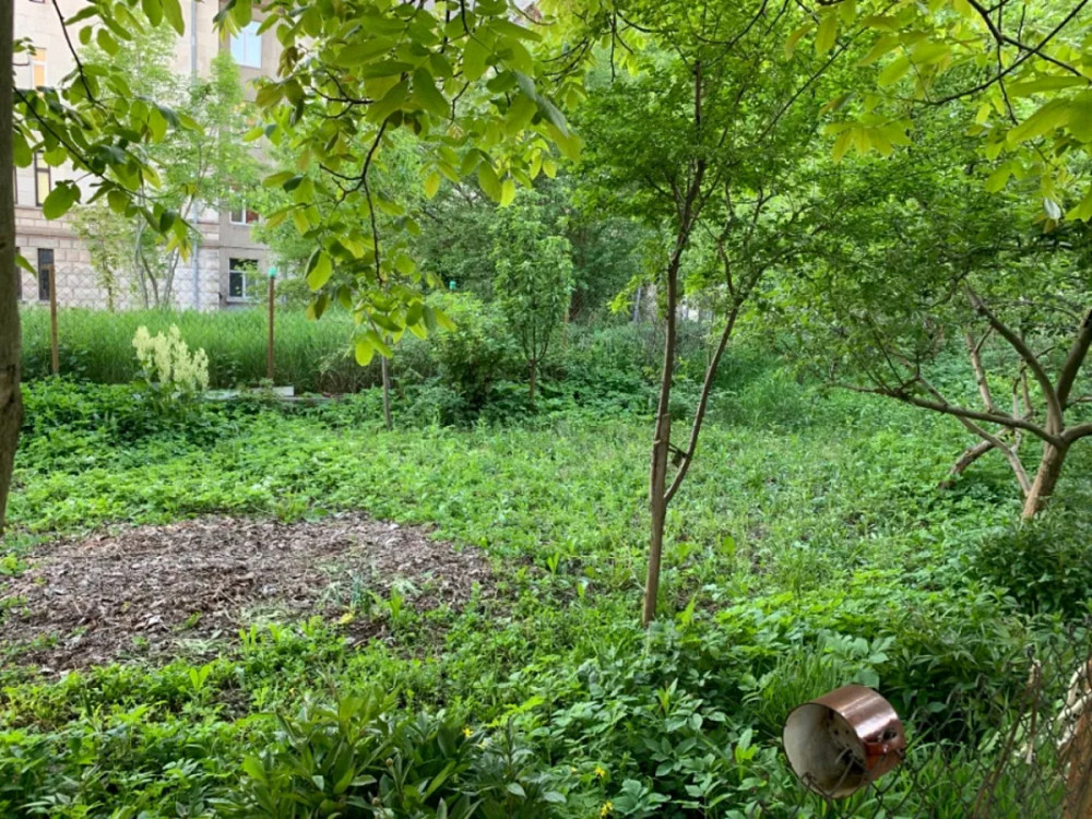 Продаж земельної ділянки 7 соток на вул. Стрімка Тернопіль - фото 4