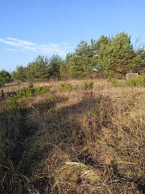 Продаж земельної ділянки 8 соток на вул. Цунів Horodok - photo 2