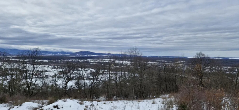 Продаж земельної ділянки 29 соток Жураки - фото 10