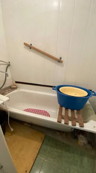 Продам дом в с.Александровка (Лиманский р-н, 5 км от Одессы) Dobrooleksandrivka - photo 10