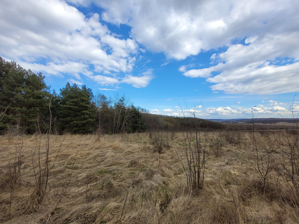 Продаж земельної ділянки 1.87 га Kolodiivka - photo 4