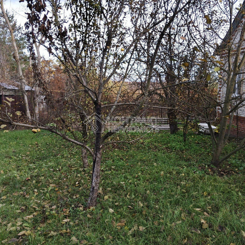 Продаж Будинок 7-кімнатний на вул. Пров. Лікарський Мерефа  - изображение 10