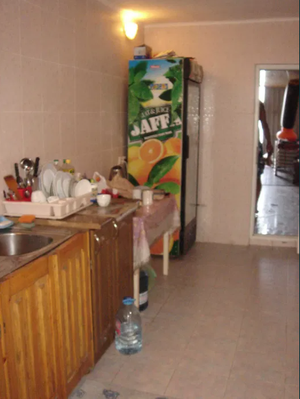 Продам дачу на берегу моря в Новой Дофиновке Нова Дофінівка - фото 10